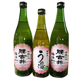 【ふるさと納税】腰古井 梅酒 500ml×1本と720ml×2本セット【1061262】