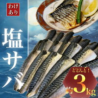 千葉県 勝浦市 塩サバ さば 魚 無添加 冷凍 訳あり 切り身 父の日 ギ...