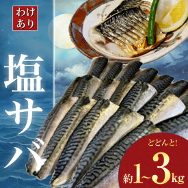 【ふるさと納税】【訳あり】 無添加 塩サバ 選べる 内容量 1kg 3kg 株式会社西川《2026年6月25日より順次出荷予定》千葉県 勝浦市 塩サバ さば 切り身 魚 無添加 冷凍 訳あり 切身 大容量 規格外 贈り物 ギフト 海鮮 冷凍 食品【配送不可地域あり】(離島)