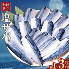 【ふるさと納税】【訳あり】 無添加 塩サバ 選べる 内容量 1kg 3kg 株式会社西川《90日以内に出荷予定(土日祝除く)》千葉県 勝浦市 塩サバ さば 切り身 魚 無添加 冷凍 訳あり【配送不可地域：離島】切身 大容量 規格外 贈り物 ギフト 海鮮 冷凍 食品