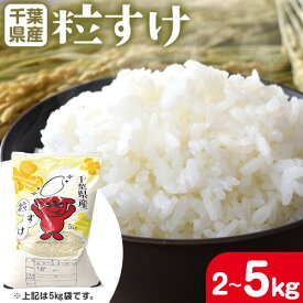 【ふるさと納税】令和8年産 新米 千葉県産 粒すけ 白米 選べる 内容量 2kg or 5kg《30日以内に出荷予定(土日祝除く)》千葉県 勝浦市 米 お米 千葉県産 精米【配送不可地域あり】(離島)