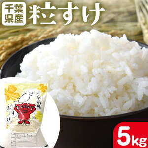 yӂ邳Ɣ[Łzߘa7NY V tY   Iׂ e 2kg or 5kgs30ȓɏoח\(yj)tt Ys   tY āyzsn悠z