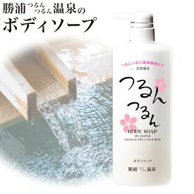 【ふるさと納税】つるんつるんボディーソープ 950ml×1本 勝浦つるんつるん温泉《30日以内に出荷予定(土日祝除く)》千葉県 勝浦市 ボディーソープ お風呂 入浴 バスタイム 肌【配送不可地域あり】