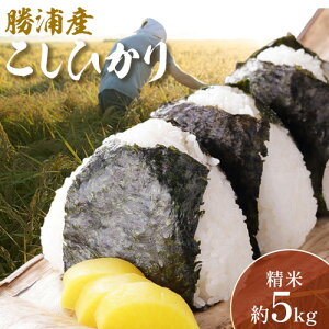 yӂ邳Ɣ[Łzyߘa7NYzYYRVqJ (5kg) ēXs30ȓɏoח\(yj)t  Ђ