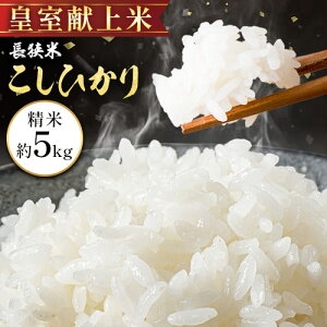 yӂ邳Ɣ[Łzyߘa7NYzĂЂ  5kg ēX s30ȓɏoח\(yj)t  Ђ