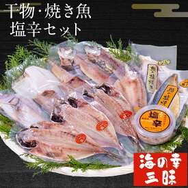 【ふるさと納税】干物・焼魚・塩辛セット 4~6種10枚 株式会社鈴八フーズ 《30日以内に出荷予定(土日祝除く)》【配送不可地域：離島】塩辛100gさばの塩焼き さけの塩焼き 干物 アジ カレイ 金目鯛 イカ ホッケ 鯛 さば 赤魚 さんま エボ 鯛 カサゴ カマス