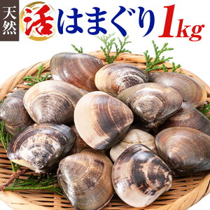 yӂ邳Ɣ[Łz ʌ VR  ͂܂ 2kg 1kg 1:40g`80g cY s2025N7{-2026N6oׁtt Ys CY L ͂܂yzsnFEkCEꌧEkE