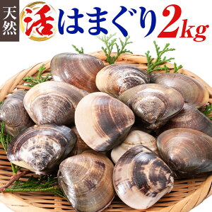 yӂ邳Ɣ[Łz ʌ VR  ͂܂ 2kg 1kg 1:40g`80g cY s2025N7{-2026N6oׁtt Ys CY L ͂܂yzsnFEkCEꌧEkE