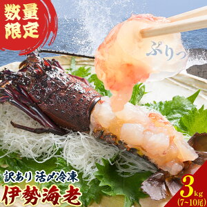 yӂ邳Ɣ[Łzʌ 󂠂 YⓀ ɐCV Iׂ 500gO(1`2) 1kgO(2`4) 2kg(4`8) 3kg(7`10)cYs30ȓɏoח\(yj)tt Ys ɐCV CV 