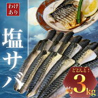 【訳あり】勝浦市の人気の海鮮お礼品 無添加 塩サバ 3kg【配送不可地域：離島】【1240161】