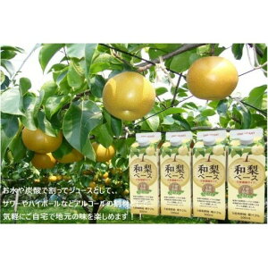 yӂ邳Ɣ[Łz tY ax[X 500ml 4{ Zbg a  ߗphN ߃hN ʎ W[X hN ݕ X Vbv t[c ʕ t t s s