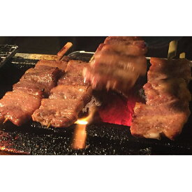 【ふるさと納税】お肉 市原タパスの豚旨味噌焼 豚塩麴焼＋牛タンつくね 肉 豚 豚串 豚肉 味噌 牛タン つくね 加工品 肉の加工品
