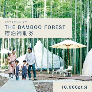 yӂ邳Ɣ[ŁzOsO t h Aj}OsO THE BAMBOO FOREST h⏕ 10000pt h ꌔ `Pbg   s W[ eg AEghA BBQ R ̌