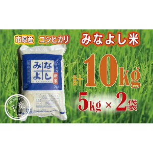 【ふるさと納税】みなよし米【市原産コシヒカリ】10kg(5kg×2袋) お米 精米 白米 ブランド米 銘柄米 ご飯 おにぎり お弁当 産地直送 和食