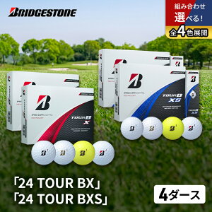 yӂ邳Ɣ[ŁzSt 24 TOUR BX  24 TOUR BXS 4_[X Zbg St{[ {[ uaXg