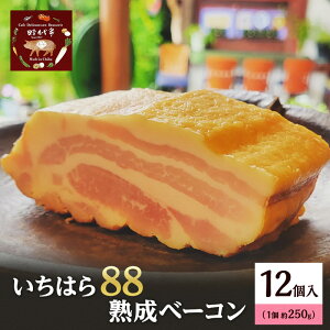 yӂ邳Ɣ[Łz͂88nx[R250g×12 x[R Ⓚ  ܂ ss t