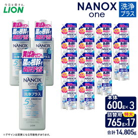 【ふるさと納税】NANOXone洗浄プラス（本体3・替特大17）洗剤 ナノックス セット ライオン 洗濯 洗濯洗剤 液体洗剤 日用品 消耗品 詰め替え 除菌 消臭 抗菌 ギフト 石鹸 衣類用 詰め合わせ