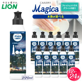 【ふるさと納税】ライオン チャーミーマジカ 除菌プラス フレッシュシトラスグリーンの香り 市原工場夜景パッケージ ( 選べる: 本体 220ml 12本 24本) 食器用洗剤 台所用洗剤 液体洗剤 洗剤 除菌 油汚れ キッチン用品 日用品 消耗品 生活用品 人気 おすすめ 千葉県 市原市