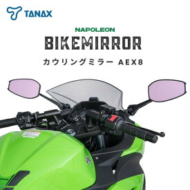 【ふるさと納税】バイクミラー ナポレオン カウリングミラー 左右セット AEX8