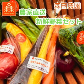 【ふるさと納税】野菜 農家直送 新鮮 野菜 セット 選べる 容量 6~13品 単発 定期便