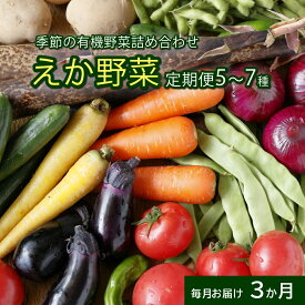 【ふるさと納税】野菜 定期便 毎月定期便3回 えか野菜 おまかせ 5～7種セット 有機JAS認定