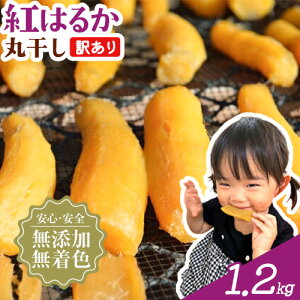 yӂ邳Ɣ[Łz y󂠂z ۊ  Iׂe 400g 800g 1.2kg ւ 𚠉s30ȓɏoח\(yj)tt Rs   Y Fsgp 