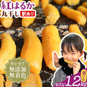yӂ邳Ɣ[Łzy󂠂z ۊ  Iׂe 400g 800g 1.2kg ւ 𚠉s30ȓɏoח\(yj)tt Rs   Y Fsgp ق
