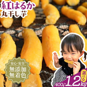 yӂ邳Ɣ[Łz ۊ n g͂邩 Iׂe 400g 800g 1.2kg  𚠉s30ȓɏoח\(yj)tt Rs   Y Fsgp ق 
