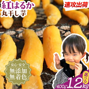 yӂ邳Ɣ[ŁzUoׁI ۊ n g͂邩 Iׂe 400g 800g 1.2kg  𚠉s3-7cƓȓɏo(yj)tt Rs   Y Fsgp 