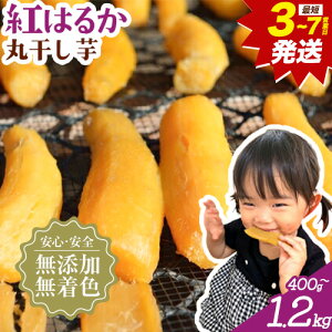 yӂ邳Ɣ[ŁzUoׁI ۊ n g͂邩 Iׂe 400g 800g 1.2kg  𚠉s3-7cƓȓɏo(yj)tt Rs   Y Fsgp 