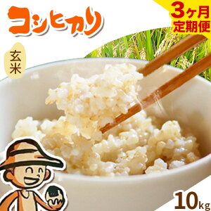 yӂ邳Ɣ[Łz RVqJ VknE_RVqJ  5kg 10kg LЎR萴X t Rs Vkn P  