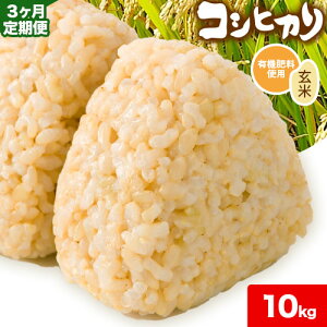 yӂ邳Ɣ[ŁzRVqJ  5kg 10kg L@엿  P 