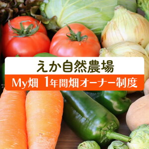 yӂ邳Ɣ[ŁzMY (1N I[i[x) ЂR_s30ȓɏoח\(yj)tt Rs   ₳ I[i[ Rs