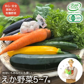 【ふるさと納税】えか野菜 おまかせ5～7種セット 有機JAS認定 株式会社えか自然農場 千葉県 流山市 オーガニック 無農薬 化学肥料不使用 旬 送料無料