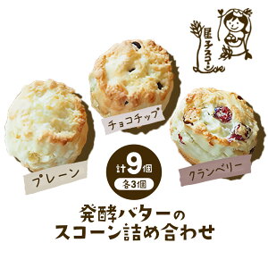 yӂ邳Ɣ[ŁzqXR[ s񂪂ł XR[ lߍ킹 3 Iׂe 3 6 9 v[ `R`bv Nx[ s30ȓɏoח\(yj)t qXR[ t