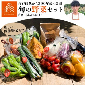 【ふるさと納税】野菜 農家直送 新鮮 野菜 セット 人気 旬 選べる 容量 6~13品 《30日以内に出荷予定(土日祝除く)》 森田農園 単発 定期便 あり 青果物 やさい 千葉県 流山市