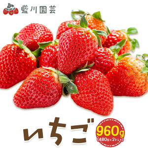 yӂ邳Ɣ[Łz 960g (480g×2gC) 쉀|s2026N2{-4{oׁtt Rs ʕ  ̂ꂽ VN t[c ƂƂ 悢Ђ gق ق X^[