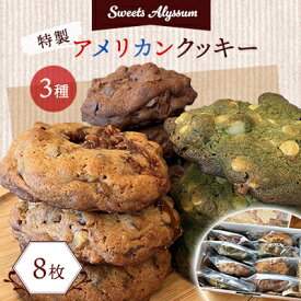 【ふるさと納税】スイーツアリッサム特製アメリカンクッキー　8枚入り【配送不可地域：離島】【1414441】