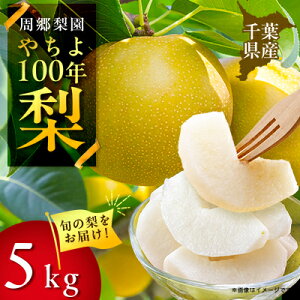 yӂ邳Ɣ[Łz2025Ns\ ̂₿100N(5kg)y1493888z