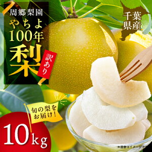 yӂ邳Ɣ[Łz2025Ns\ ̂₿100Nƒp(10kg)y1493893z