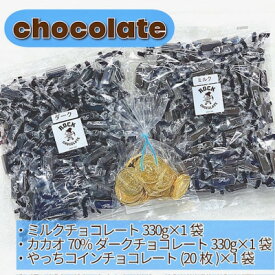 【ふるさと納税】【工場直送】ダーク&ミルクチョコとコインチョコセット　BP-1【配送不可地域：離島】【1531274】