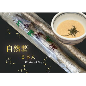 yӂ邳Ɣ[Łzy12菇zR@2{@1.4kg`1.6kgyzsnFEkCEꌧEkEElEBzy1551520z