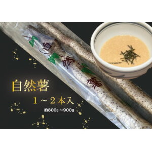 yӂ邳Ɣ[Łzy12菇zR 1`2{(800g`900g)yzsnFEkCEꌧEkEElEBzy1551579z