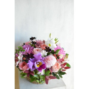 yӂ邳Ɣ[ŁzyցzG߂̃t[AWg`t`X^C`SpecialiteS12yzsnFEkCEꌧEBzy4051546z