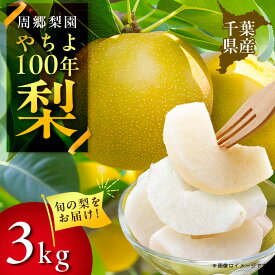 【ふるさと納税】2026年発送先行予約 周郷梨園のやちよ100年梨(3kg)【1493887】