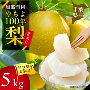 yӂ邳Ɣ[Łz2026Ns\ ̂₿100Nƒp(5kg)y1493891z