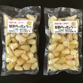 【ふるさと納税】【みんなの広場・風】手作り甘酢らっきょう160g×2袋セット【福祉施設提供】