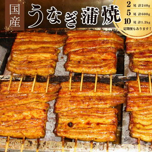 【ふるさと納税】鰻 国産 国産鰻蒲焼 1尾 約 120g 選べる 2尾/5尾/10尾 単発/定期便