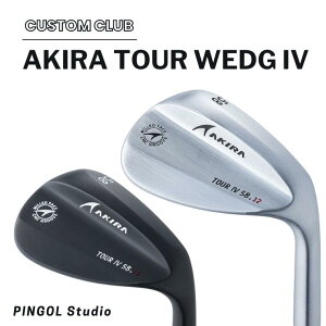 yӂ邳Ɣ[ŁzEFbW AKIRA TOUR WEDG IV