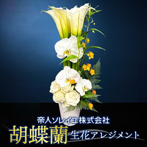 yӂ邳Ɣ[Łzyl\Cz053iRjӒ@ԃAWg